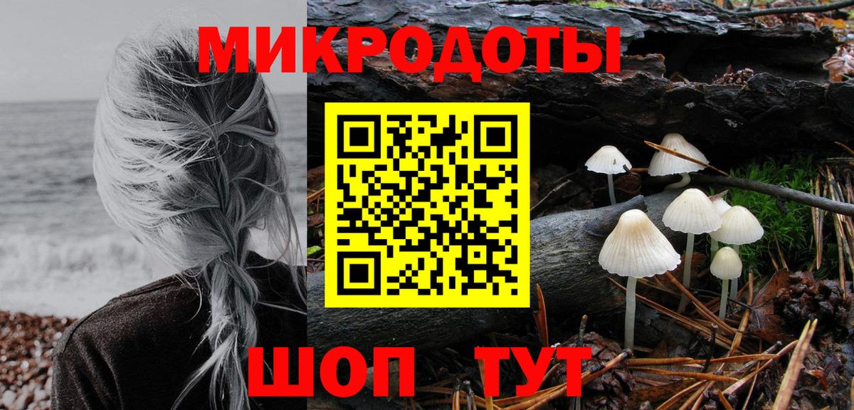 Псилоцибиновые грибы Psilocybe Ярославль