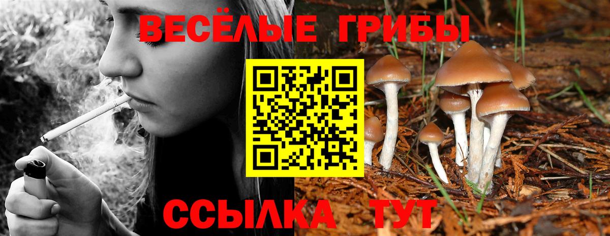 Ярославль  Псилоцибиновые грибы GOLDEN TEACHER  Вход с VPN 
